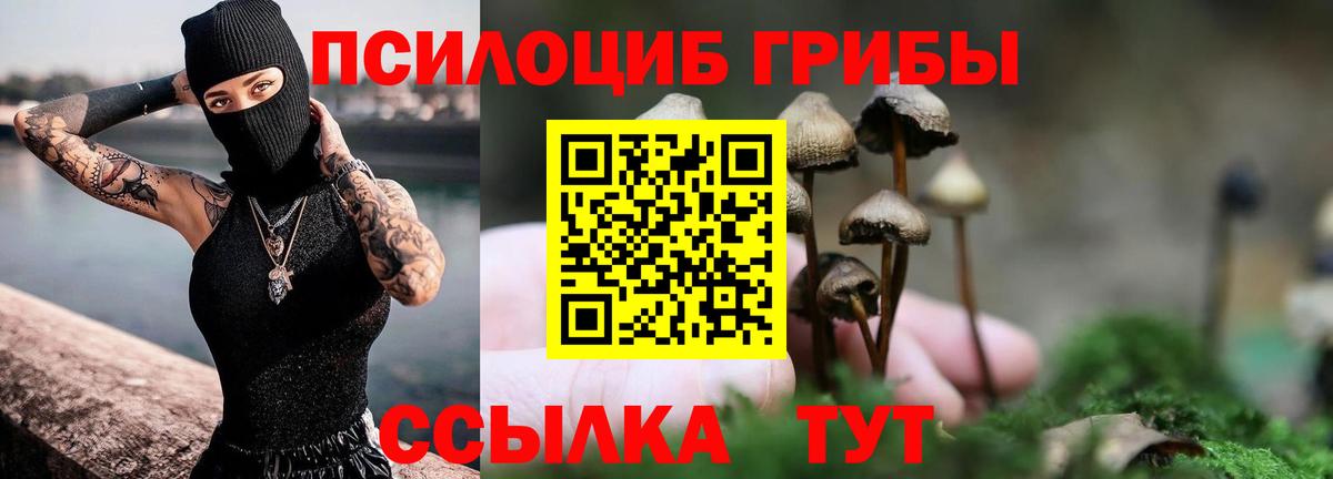 Псилоцибиновые грибы Cubensis Магнитогорск