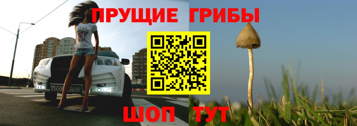 Магнитогорск  Галлюциногенные грибы прущие грибы  Вход с VPN  Галлюциногенные грибы MAGIC MUSHROOMS 